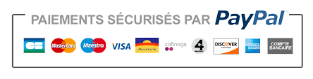 logo paypal